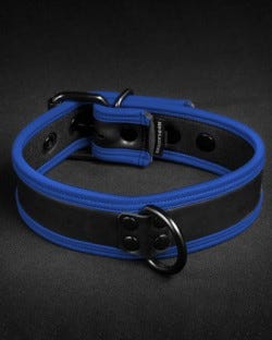 Neo Puppy Collar Blue