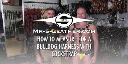 Cockstrap and All-Around Strap For Bulldog Harness 2.0